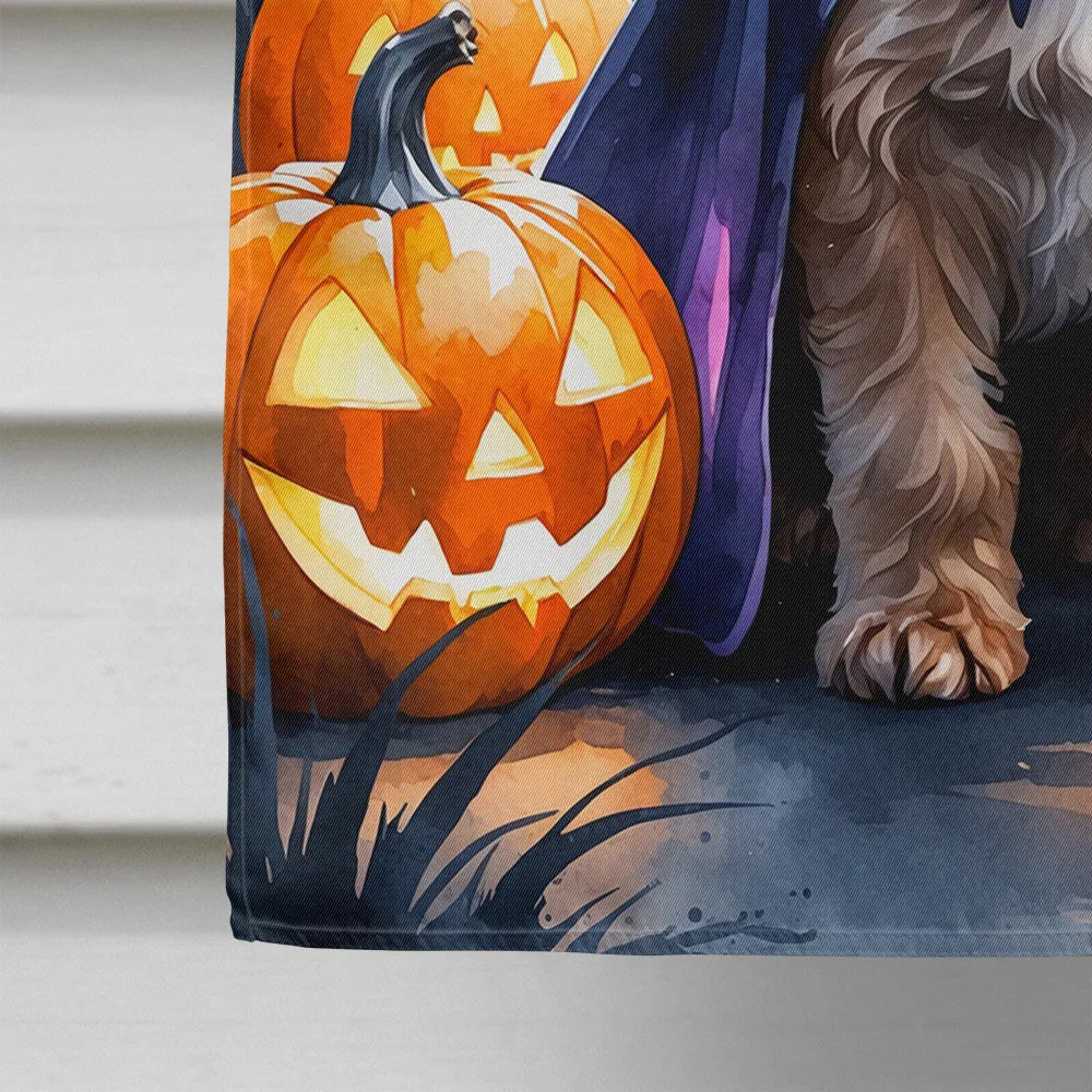 Chocolate labradoodle Halloween house flag, view 3
