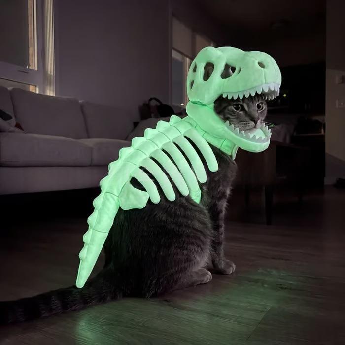 Glow-in-the-dark dinosaur skeleton pet costume